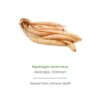 Asparagus recemosus Orca Innovation