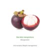 Garcinia Mangostana Orca Innovation