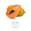 Carica Papaya Orca Innovation