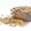 Cordyceps Orca Innovation