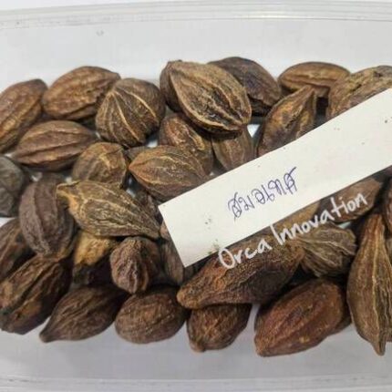 สมอเทศ Orca Innovation