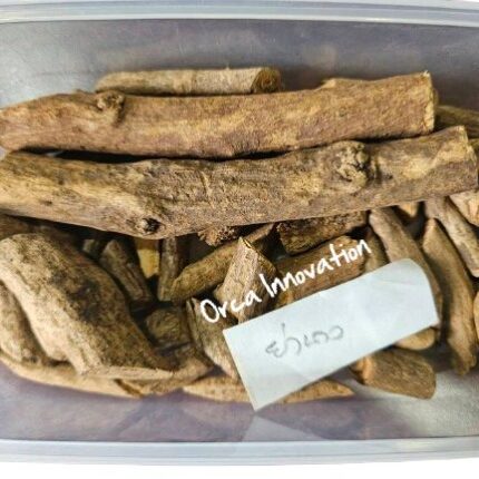 ย่านาง Orca Innovation