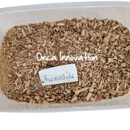 จันเทศน์ป่น Orca Innovation