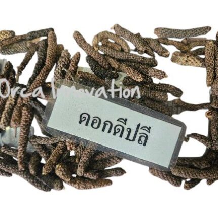 ดอกดีปลี Orca Innovation