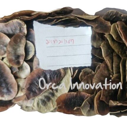 มะขามแขก Orca Innovation