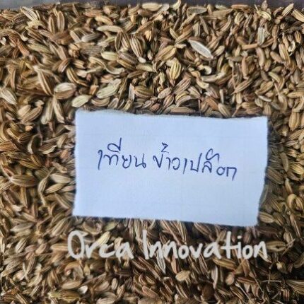 เทียนข้าวเปลือก Orca Innovation