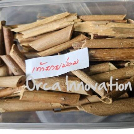 เท้ายายม่อม Orca Innovation