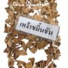 เหง้าขมิ้นชัน Orca Innovation