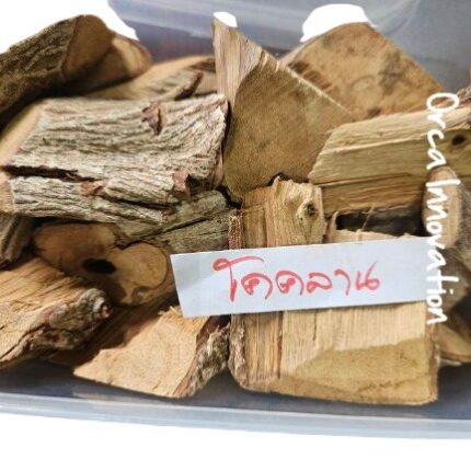 โคคลาน Orca Innovation