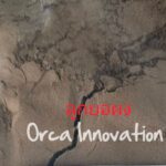ลูกยอผง Orca Innovation
