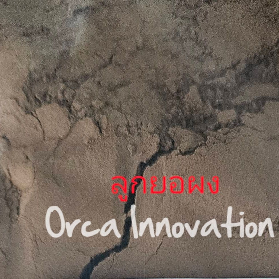 ลูกยอผง Orca Innovation